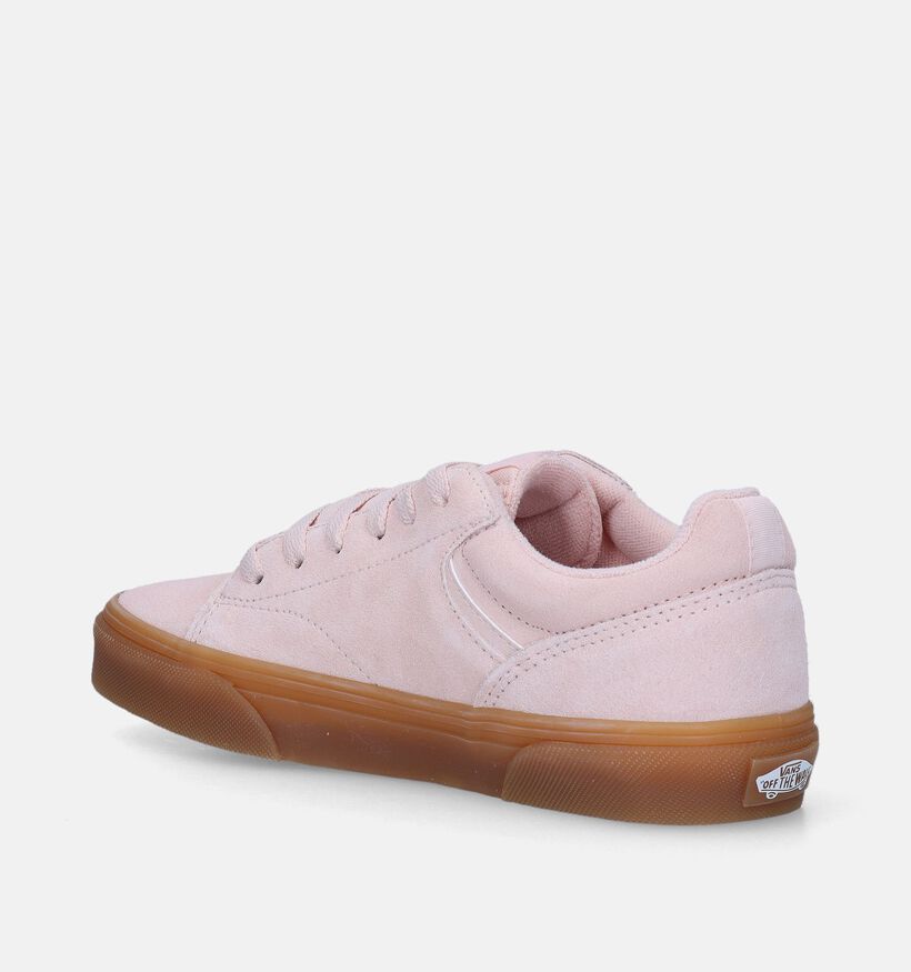 Vans Seldan Translucent Baskets de skate en Rose pour femmes (343807)