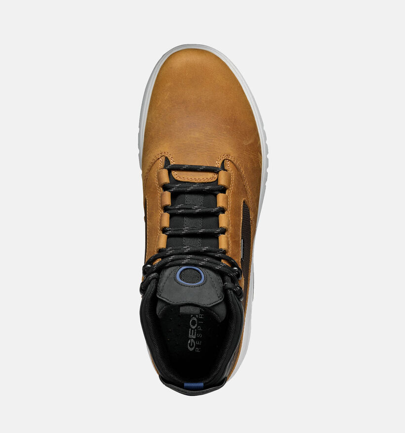 Geox Aerantis Chaussures à lacets en Cognac pour hommes (344347) - pour semelles orthopédiques