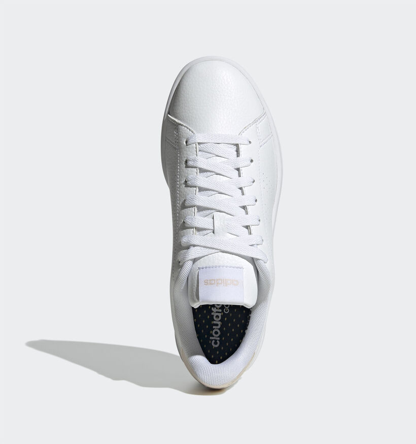 adidas Advantage Baskets en Blanc pour femmes (341435)