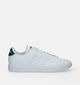 adidas Advantage 2.0 Baskets en Blanc pour hommes (343233)