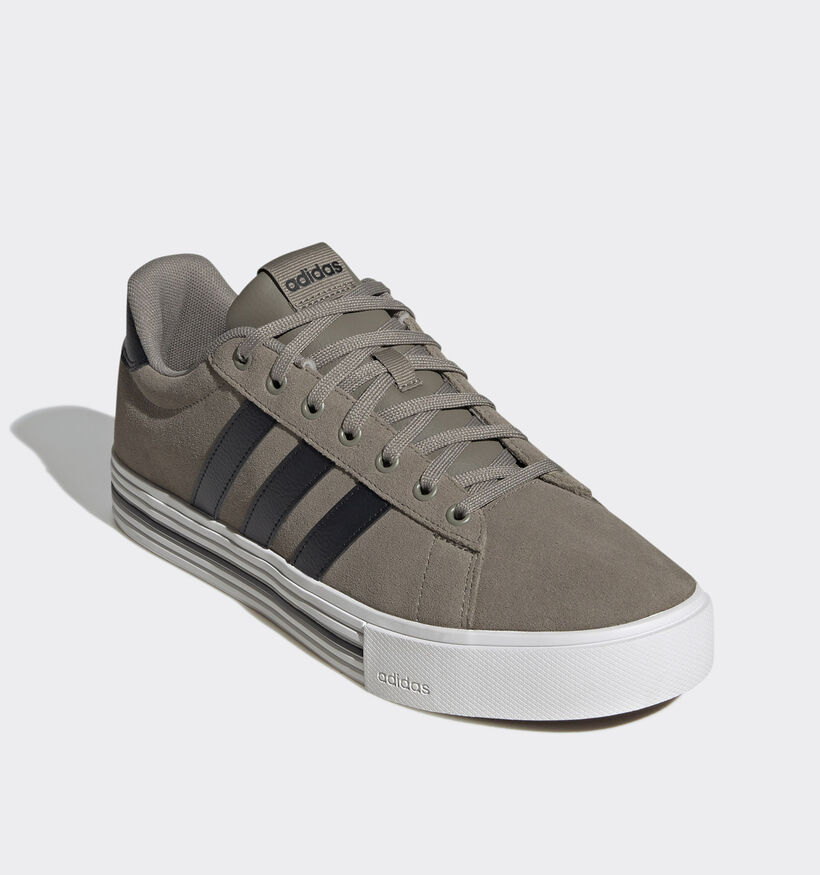 adidas Daily 4.0 Grijze Sneakers voor heren (343280)