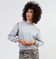 Minus Lenia Grijze Sweater voor dames (348249)