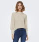 JDY Avery Beige Kanten blouse voor dames (344184)