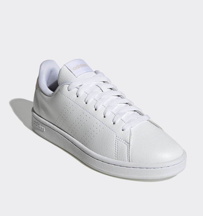 adidas Advantage Baskets en Blanc pour femmes (341435)