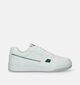 Skechers Koopa Witte Sneakers voor heren (343956)