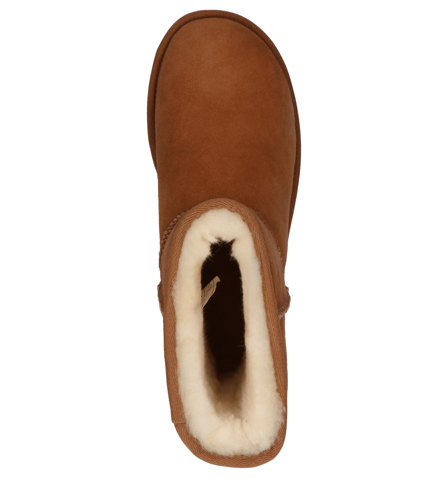 uggs cognac classic short